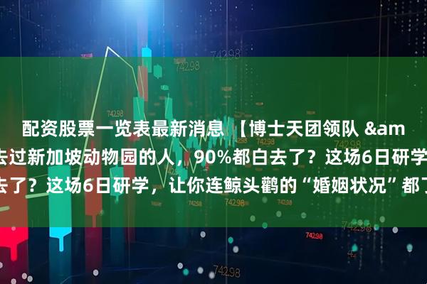 配资股票一览表最新消息 【博士天团领队 & 秘境解锁】为什么去过新加坡动物园的人，90%都白去了？这场6日研学，让你连鲸头鹳的“婚姻状况”都了如指掌！