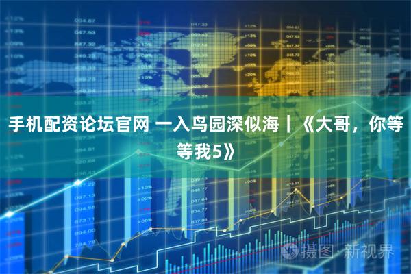 手机配资论坛官网 一入鸟园深似海｜《大哥，你等等我5》